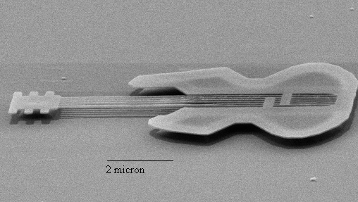 picture of the world's smallest guitar
