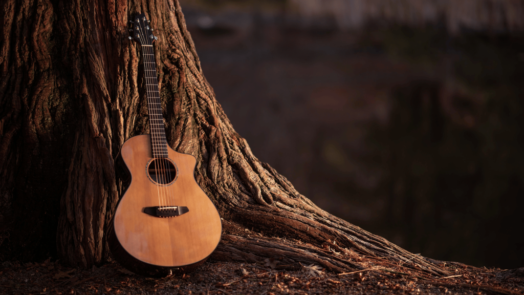 Acoustic guitar leaning against a tree
