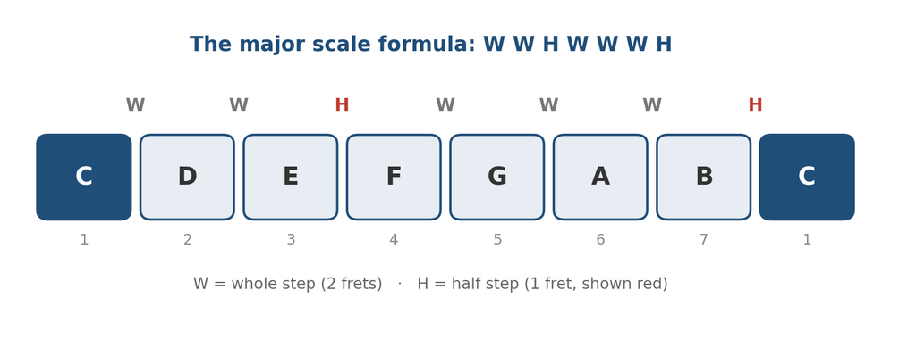 The major scale formula of whole and half steps, W W H W W W H, shown using the C major scale